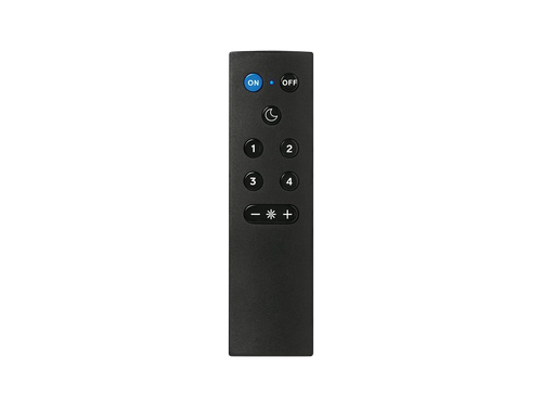 Spare Remote