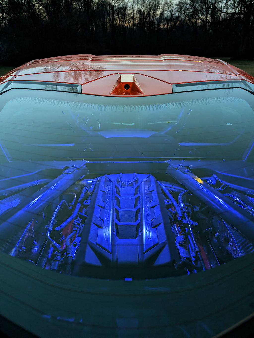 C8 Corvette Engine Bay Lighting Kit